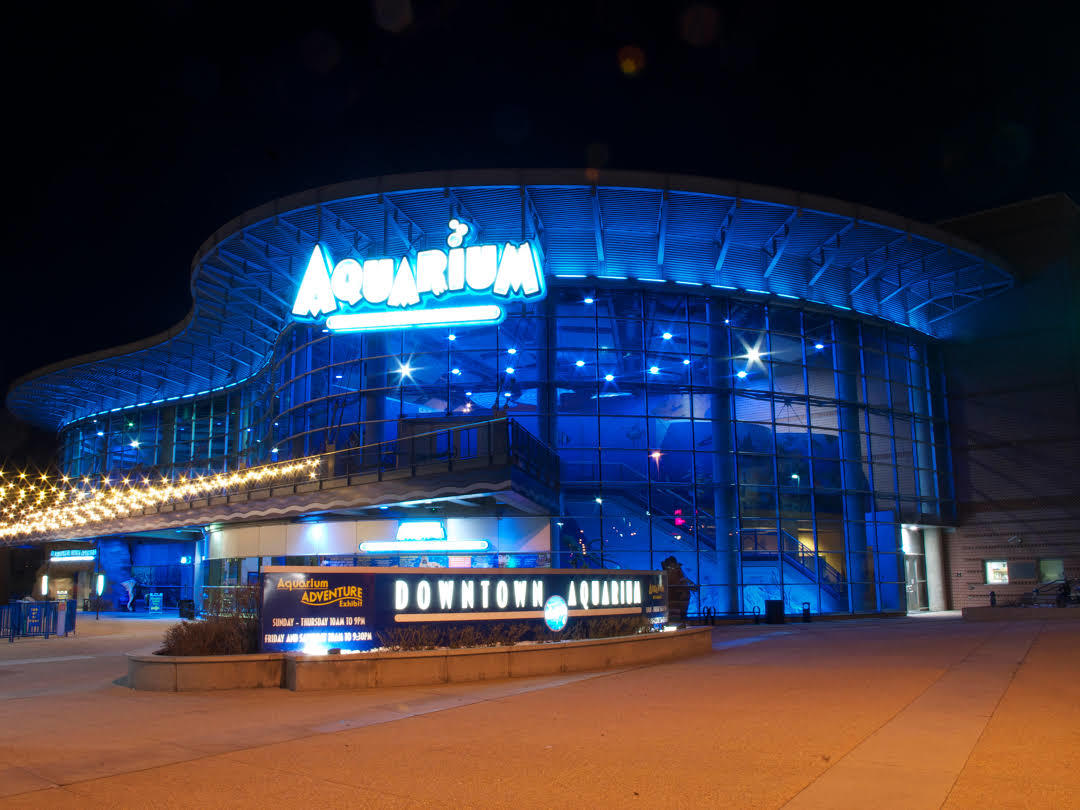 Denver's Downtown Aquarium